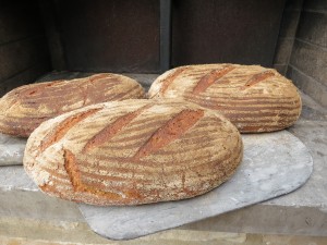 Cook-for-three-days-French-bread-wood-burning-oven-single-fire