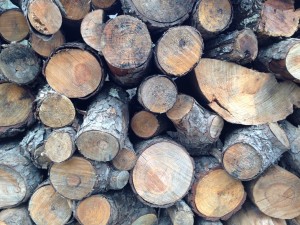 wood stacked loosely. This will season wood for use in a wood-burning oven.