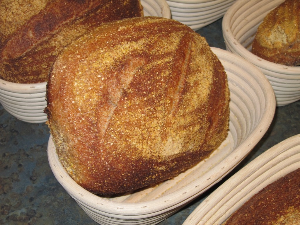 bread baked in wood-fired oven pizza oven Restoration Homestead