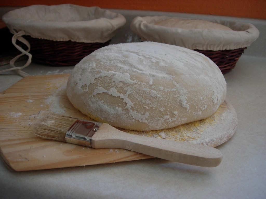 bread-dough-wooden-peel-wood-fired-oven-DSCN3816