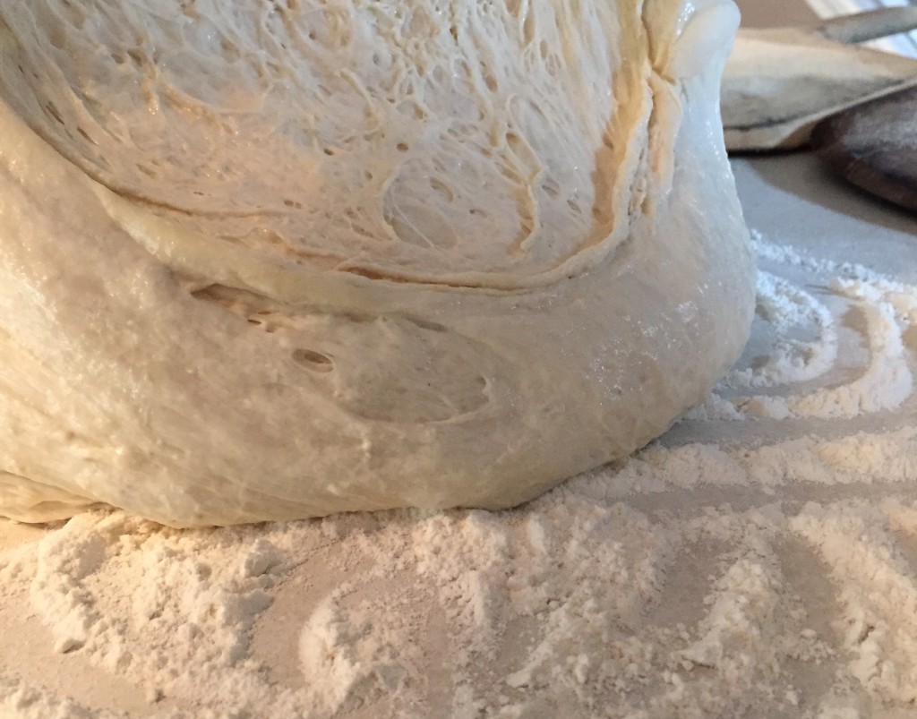 best pizza dough fermentation sourdough