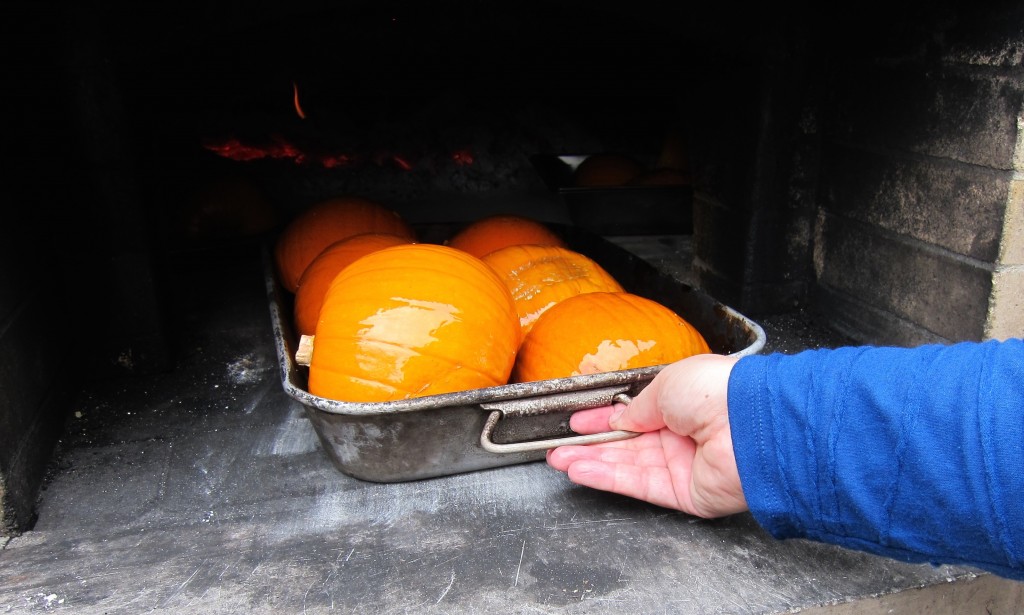 sugar pumpkin not suitable for roasting pumpkin or roasting pumpkin in a wood-burning oven pizza oven