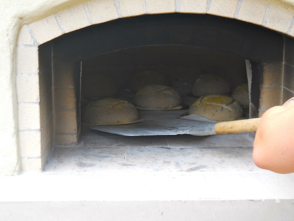 http://texasovenco.com/wp-content/uploads/2016/07/convection-wood-fired-oven-baking-bread-DSCN7828-1024x768.jpg