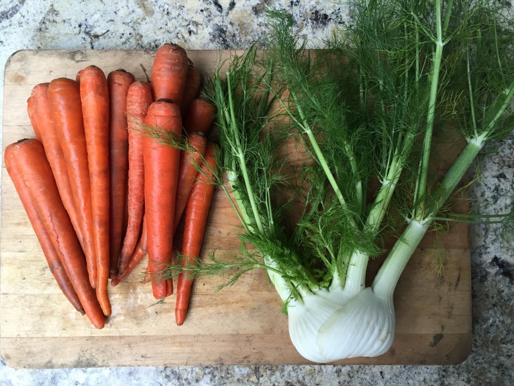 fermentation