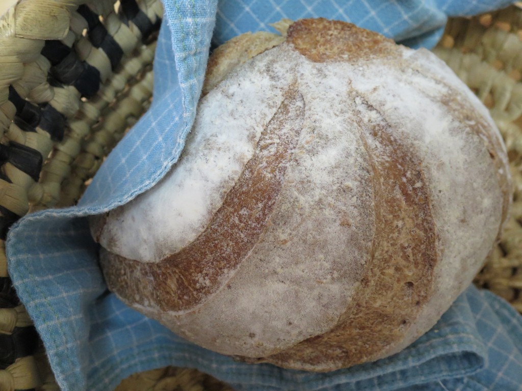 sourdough bread fermentation
