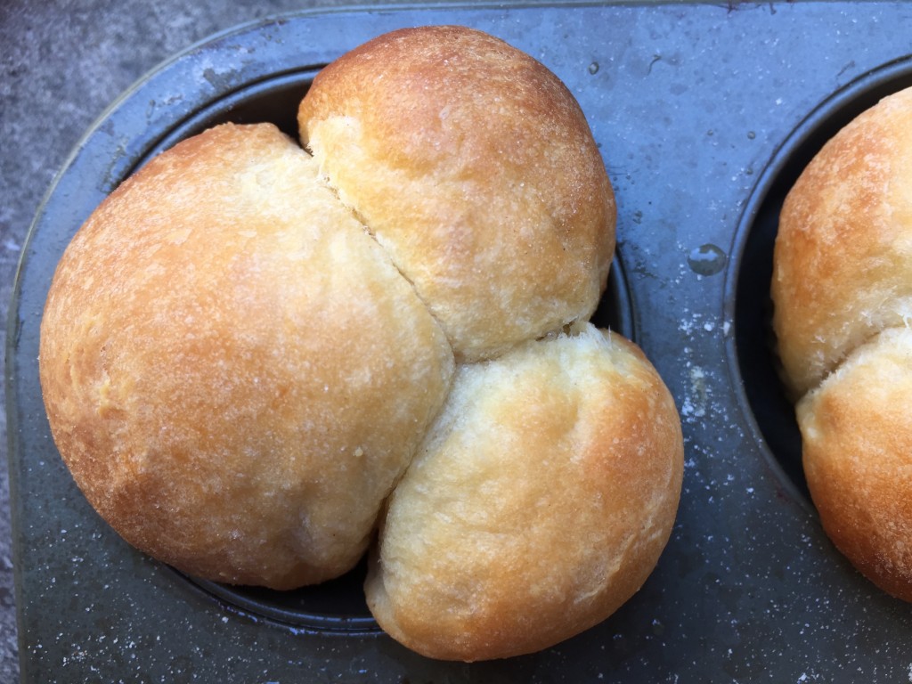 cloverleaf dinner rolls single wood-fired baking wood-fired oven pizza oven