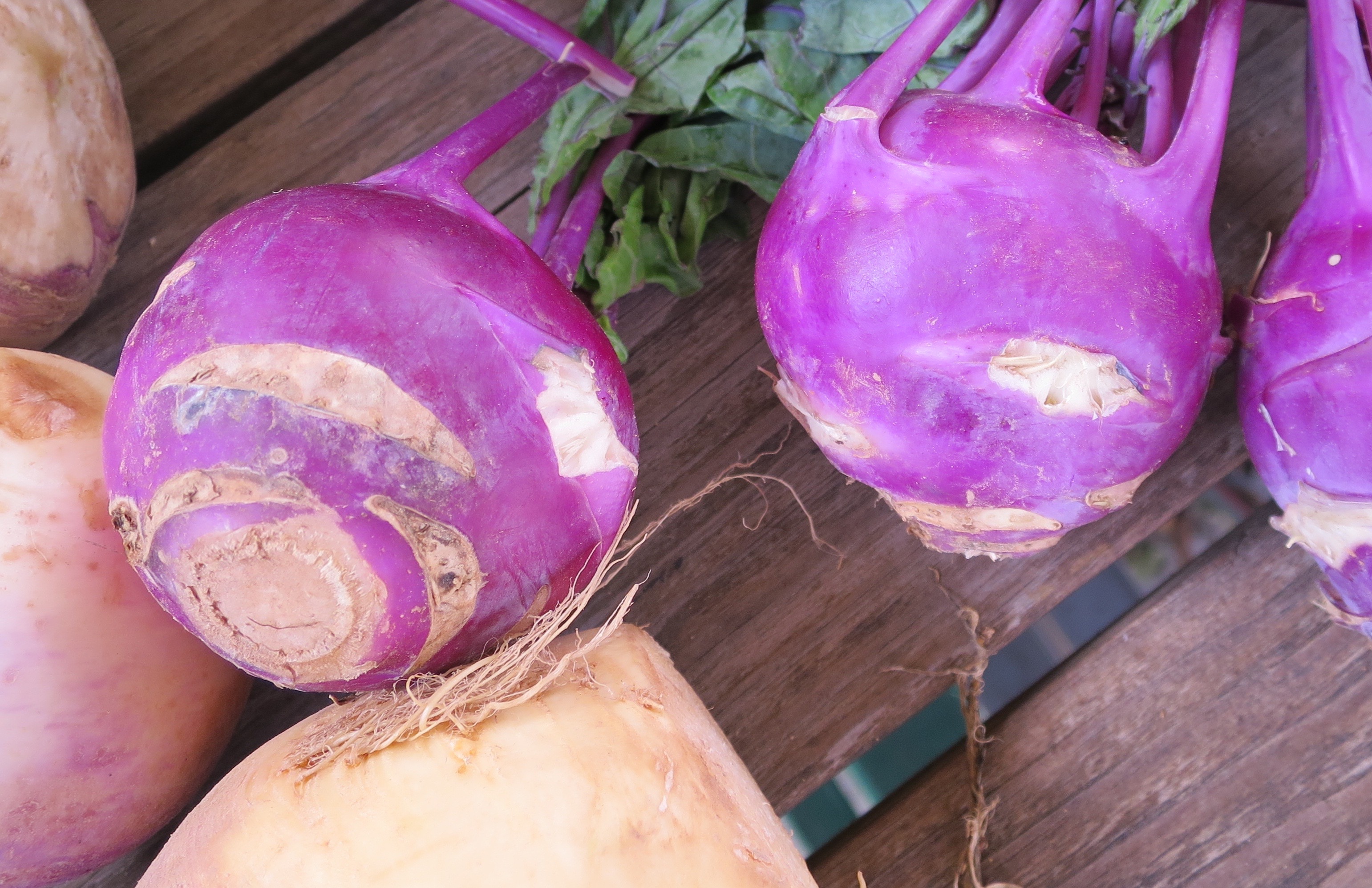 roots vegetables