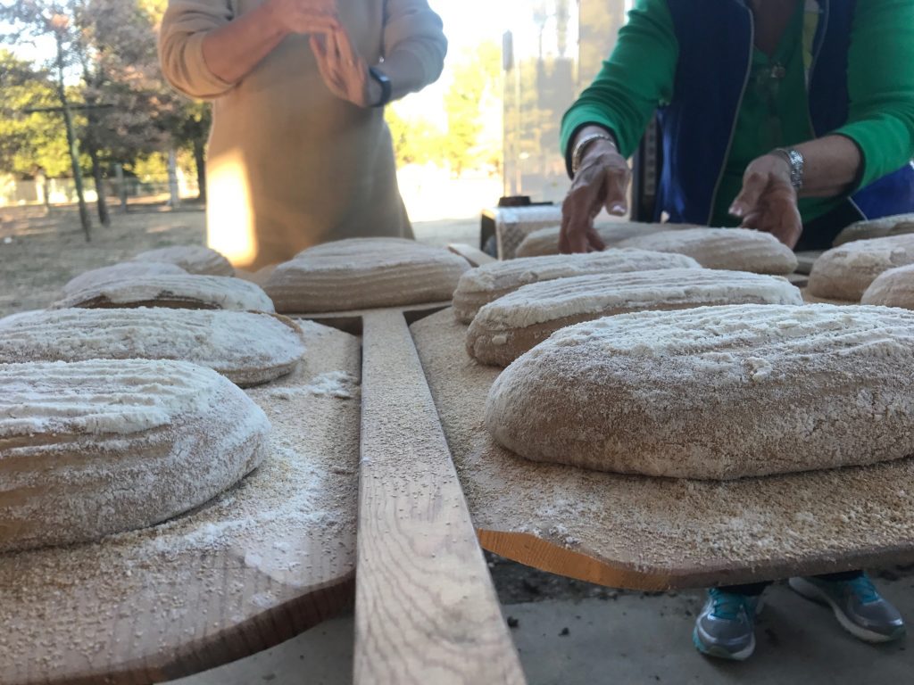 slow fermented bread