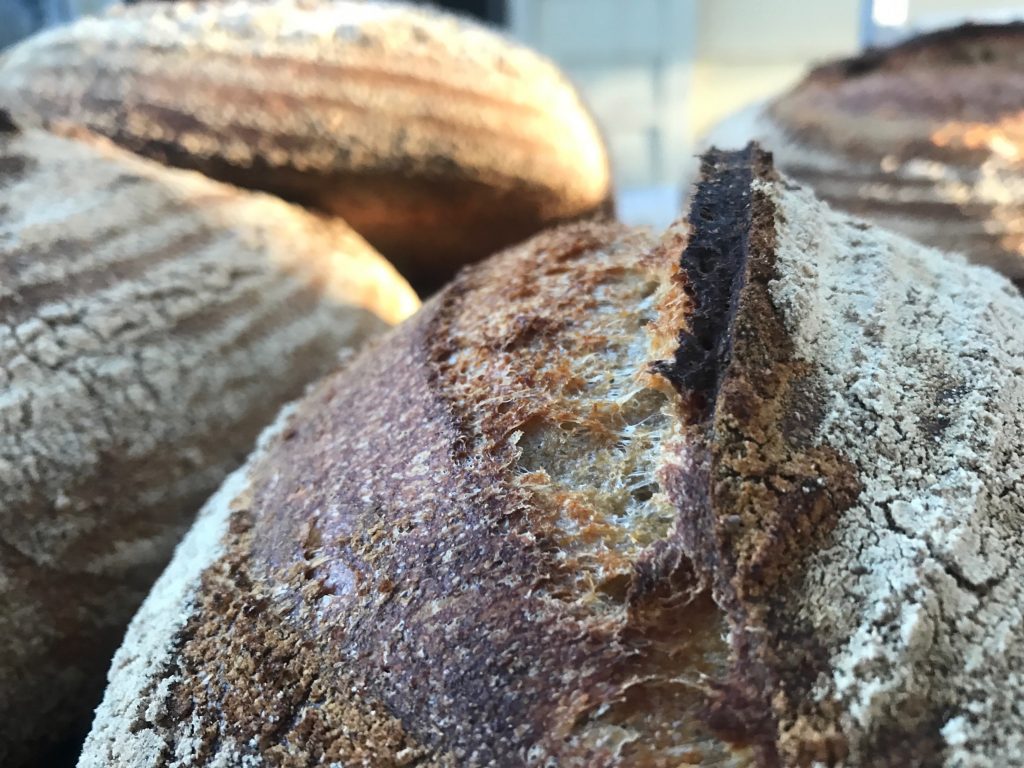 slow fermented bread