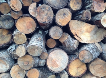 wood stacked loosely. This will season wood for use in a wood-burning oven.