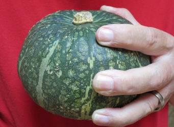 Kabocha for roasting in wood-fired oven pizza oven squash
