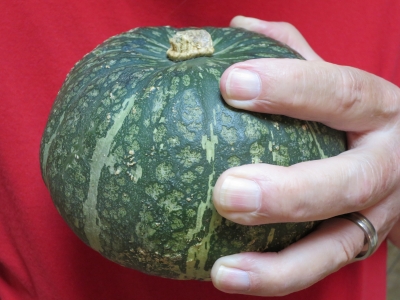 Kabocha for roasting in wood-fired oven pizza oven squash